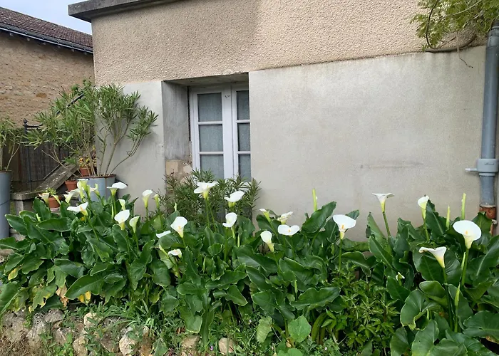 Les Acanthes 2ch Centre