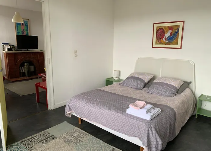 Apartment Les Acanthes 2ch Centre